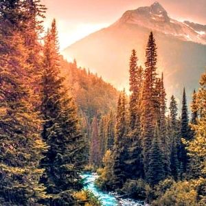 Meet your Posher, Keri